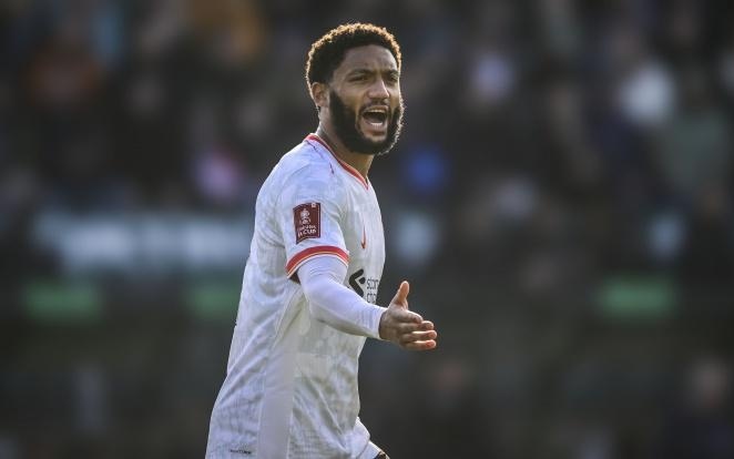 发布了一项 发布了一项