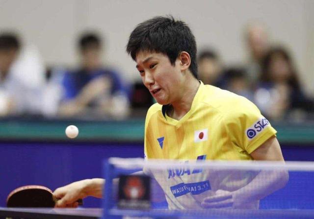 他都会带着 他都会带着