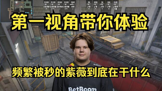 照出版本理